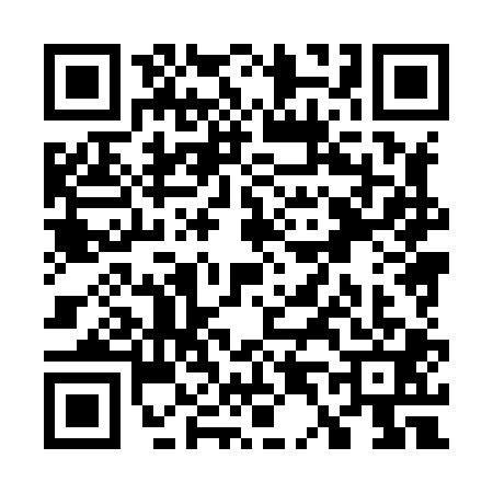 QR code for W488011