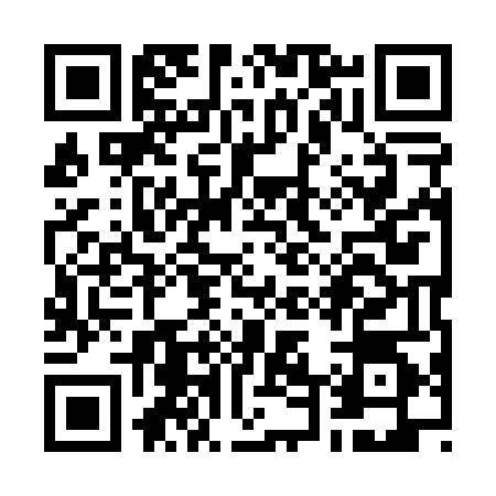 QR code for W490446