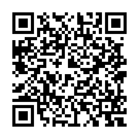 QR code for W490979