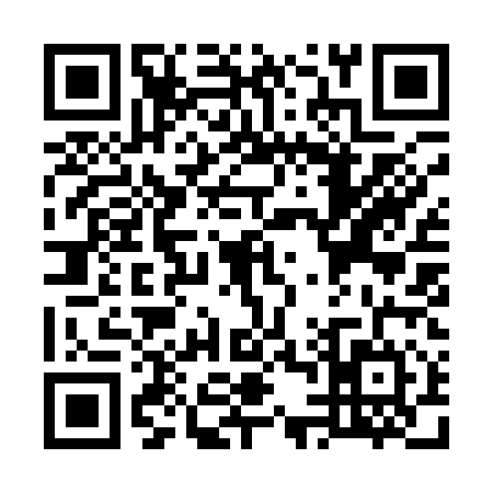 QR code for W491147