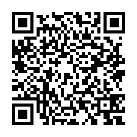 QR code for W491392