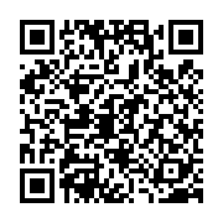 QR code for W494288
