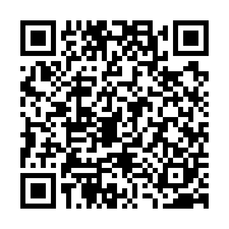 QR code for W497003
