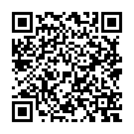 QR code for W498242