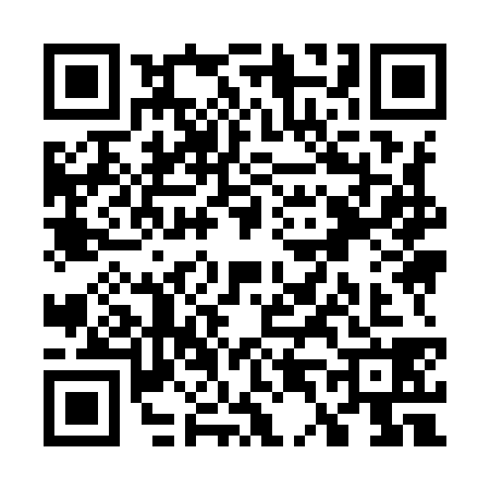 QR code for W499381