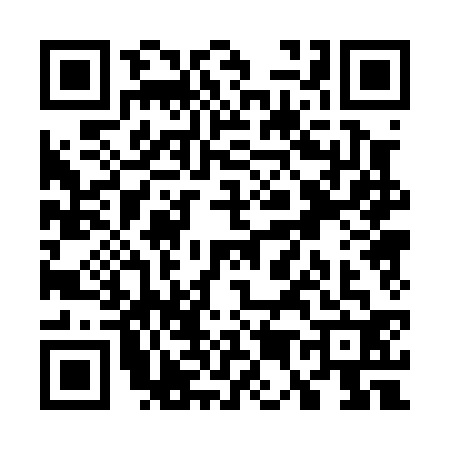 QR code for W500325