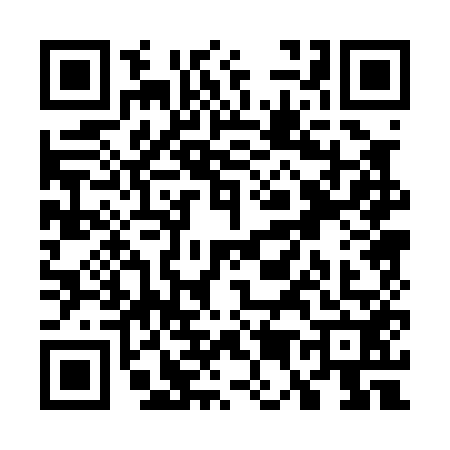 QR code for W500528