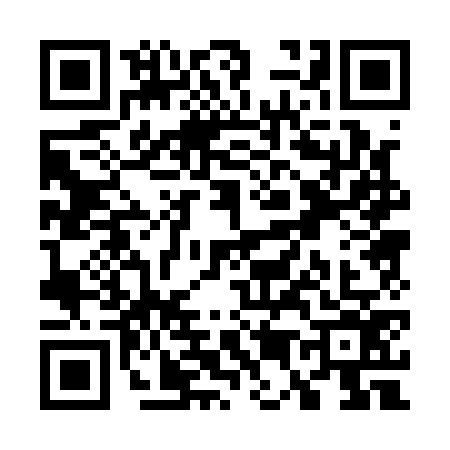 QR code for W501767
