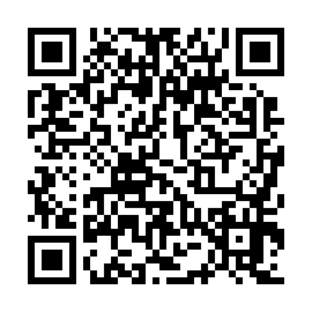 QR code for W502549