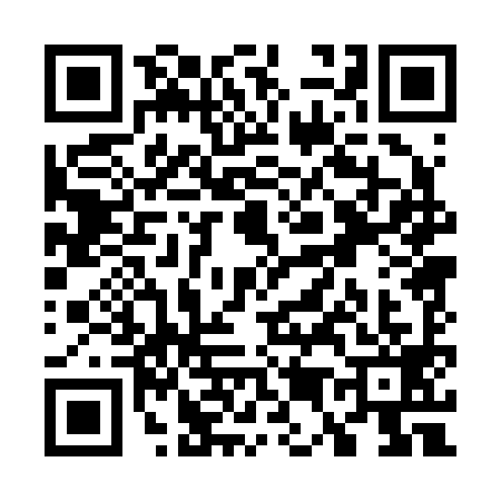 QR code for W502990