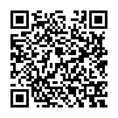 QR code for W508347
