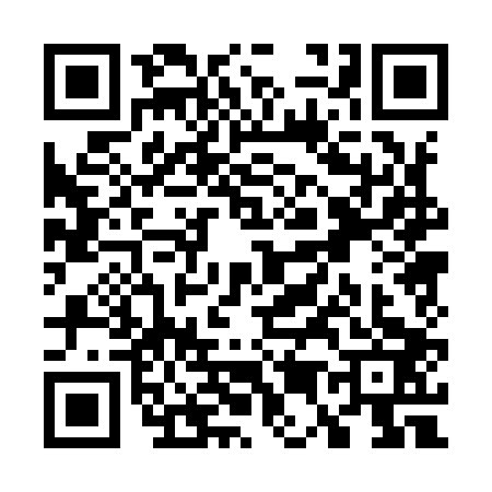 QR code for W509036