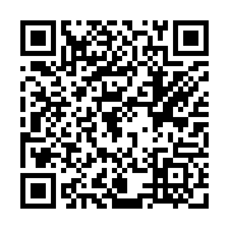 QR code for W509637