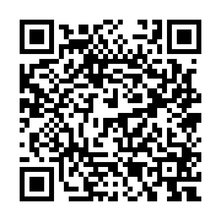 QR code for W511447