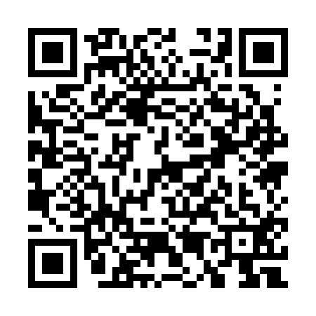 QR code for W513126