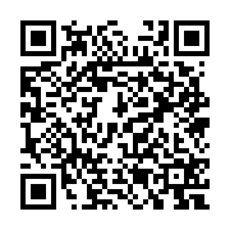QR code for W517243