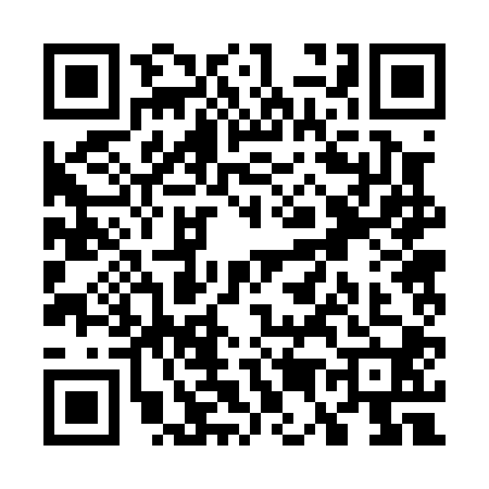 QR code for W520005