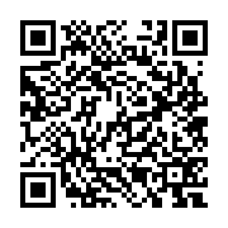 QR code for W523767