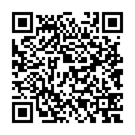 QR code for W541399