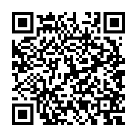 QR code for W546062