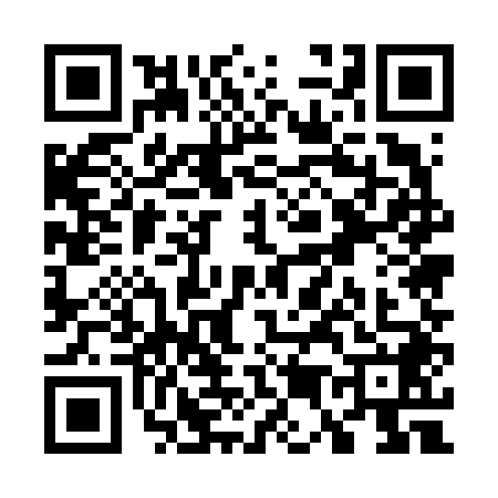 QR code for W556483