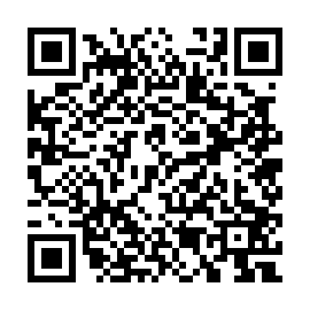 QR code for W570038