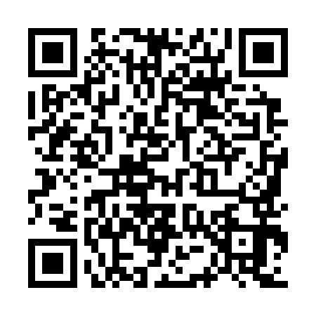 QR code for W593935