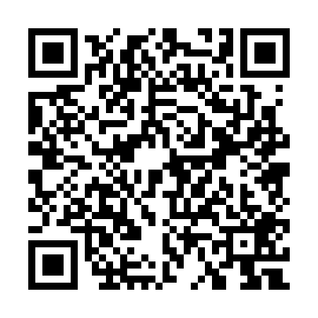 QR code for W603095