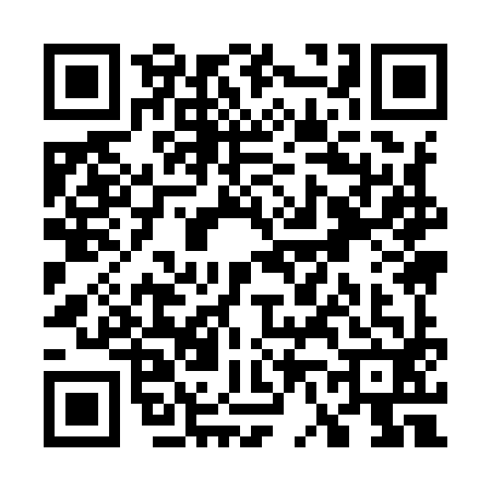 QR code for W699924