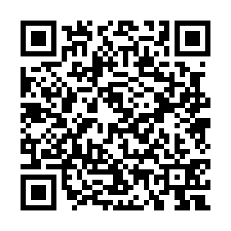 QR code for W700311