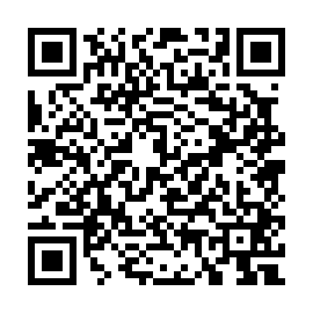 QR code for W700416