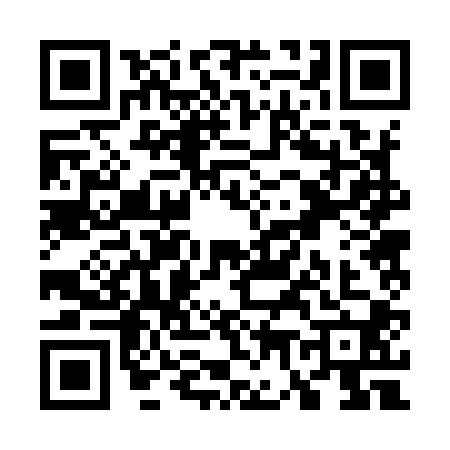 QR code for W729009