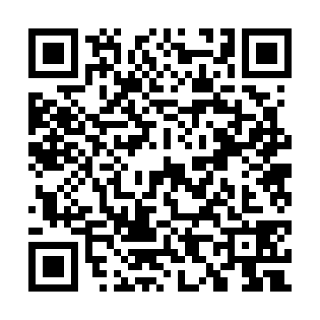 QR code for W827382