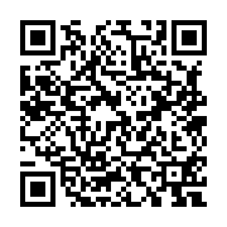 QR code for W838100