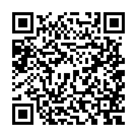 QR code for W875867