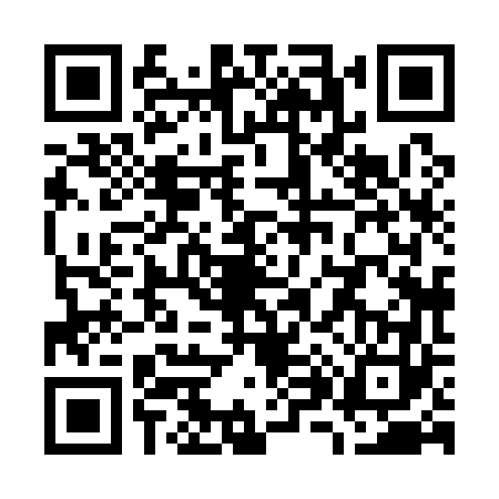 QR code for W881638