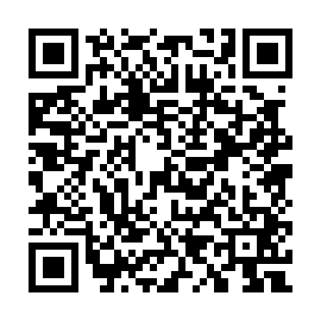 QR code for W900418