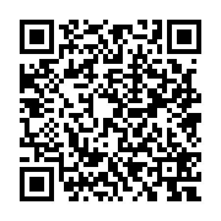 QR code for W901293