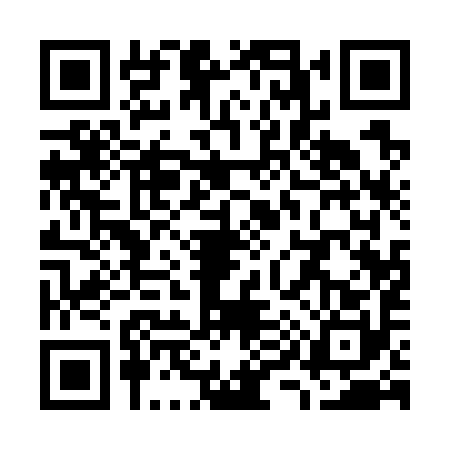 QR code for W917906