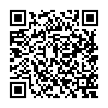 QR code for W919542
