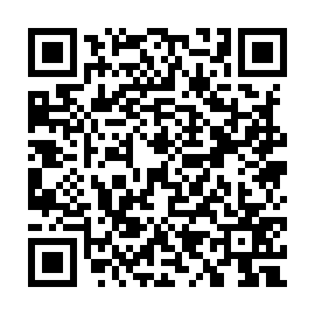QR code for W919778