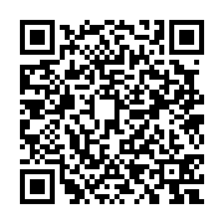 QR code for W930313