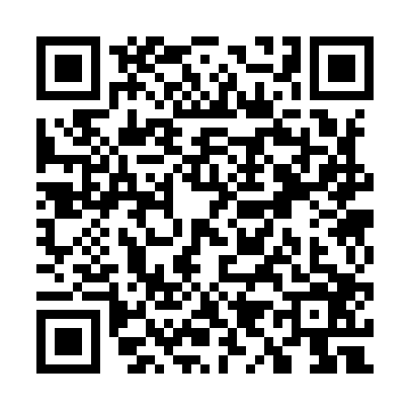 QR code for W939063