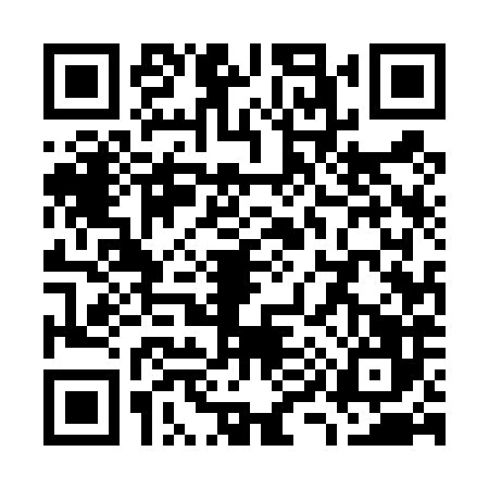 QR code for W954861