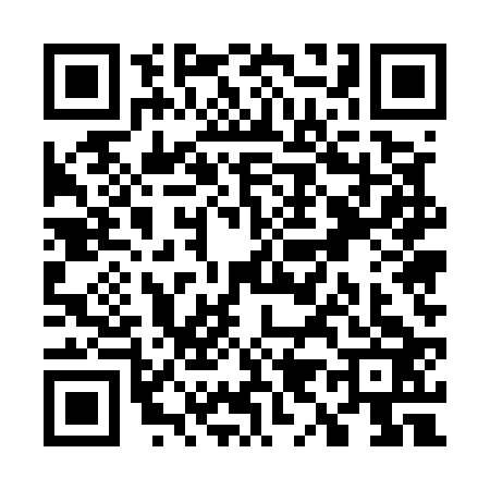QR code for W955239