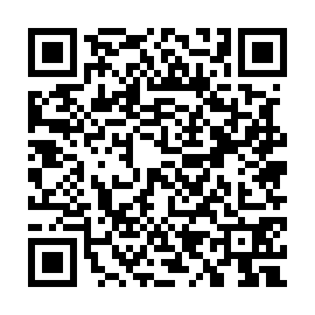 QR code for W955701