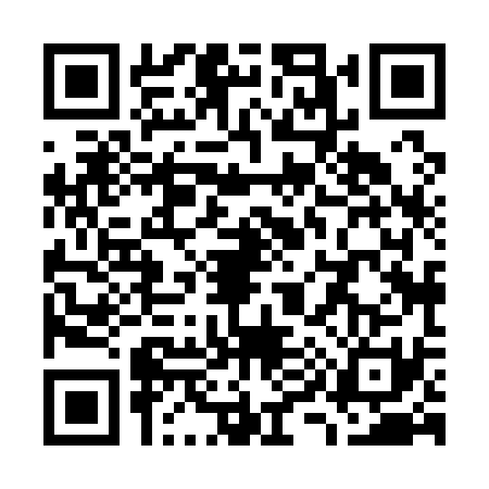 QR code for W981316