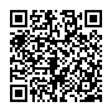 QR code for W990668