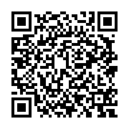 QR code for W994142