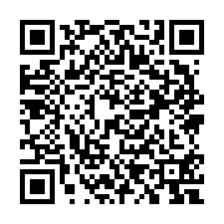QR code for W996103